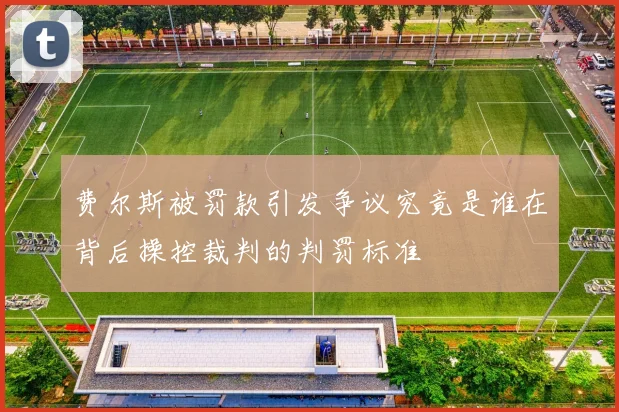 费尔斯被罚款引发争议究竟是谁在背后操控裁判的判罚标准